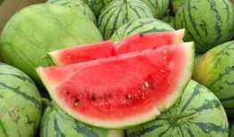 今日吃瓜热门大瓜每日更新,紧跟热门大瓜，揭秘娱乐圈最新动态